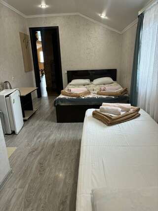 Гостиница Ruzanna Inn Адлер Трехместный номер с балконом-5