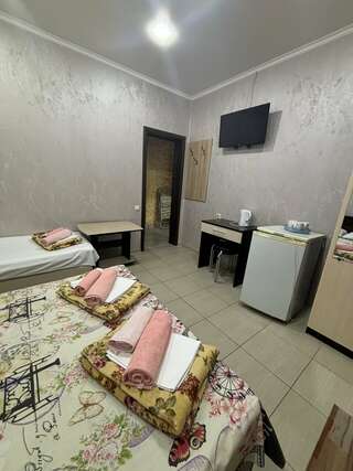 Гостиница Ruzanna Inn Адлер Трехместный номер с балконом-10